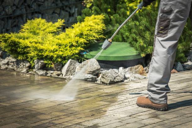 Best Animal Enclosure Cleaning  in North Highlands, CA