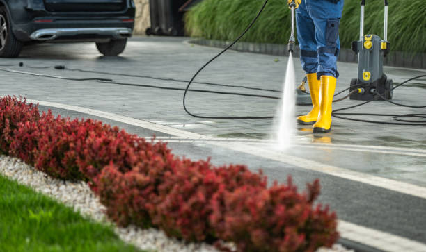 Best Sidewalk and Walkway Cleaning  in North Highlands, CA